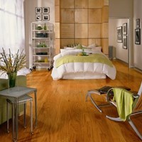 Armstrong Somerset Solid 2 1/4" Strip Low Gloss Hardwood Flooring at Wholesale Prices