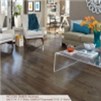 Somerset Character Collection Plank 3 1/4" Solid Hickory Ember