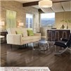 Somerset Color Collection Plank 4" Solid Smoke
