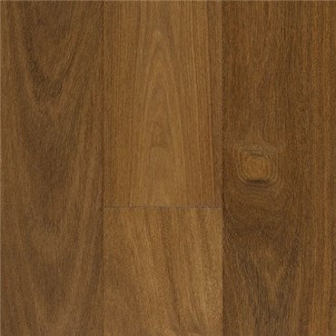 Solid Brazilian Chestnut, Brazilian Chestnut Hardwood Flooring