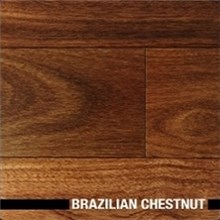 Ribadao Brazilian Species 5" Prefinished Brazilian Chestnut Hardwood Flooring