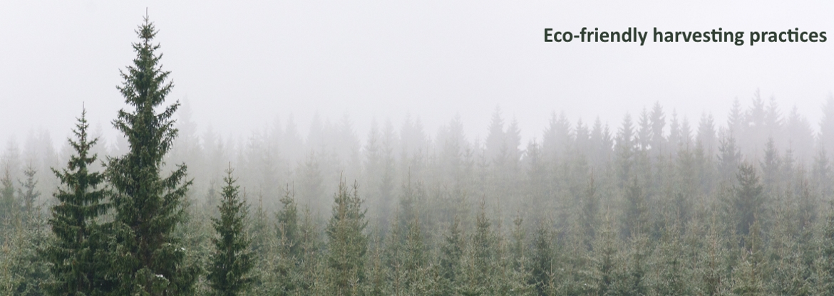 Reserve-hardwood-flooring-ecofriendly-practices