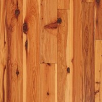 6 1/4" Australian Cypress 