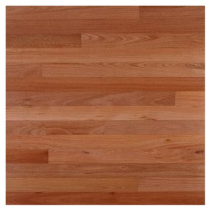5 1/4" x 1/2" Sydney Blue Gum 2' to 6' Prefinished Engineered